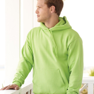 Hanes Ecosmart Hooded Sweatshirt P170 Ecosmart Hooded Sweatshirt Thumbnail